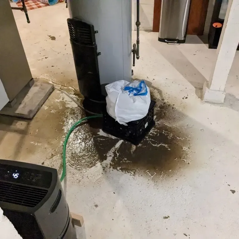 Sewage Backup Cleanup Service in Warrenton, MO